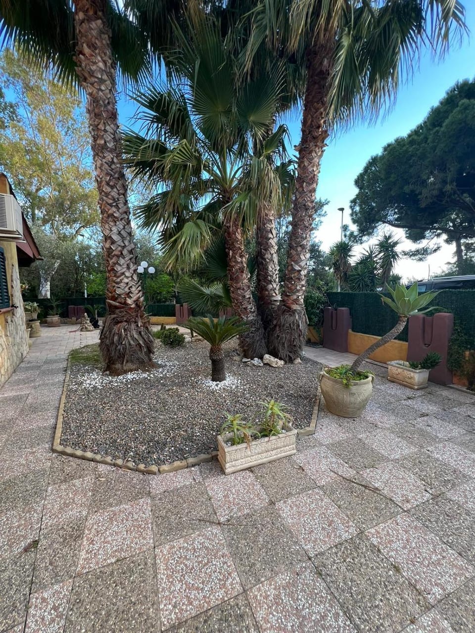 Garden view
