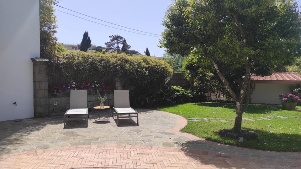 Patio, Spring, Day, Garden, Garden view, sunbed
