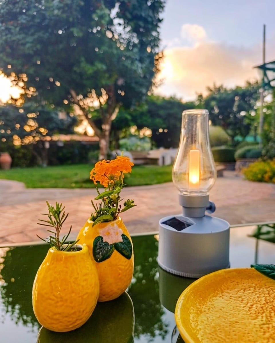 Garden, Garden, Decorative detail, Garden view, Sunset