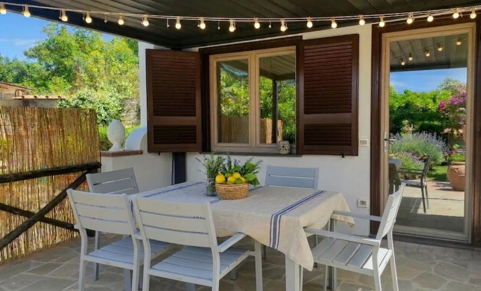 Garden, Seating area, Dining area, Area and facilities, furniture