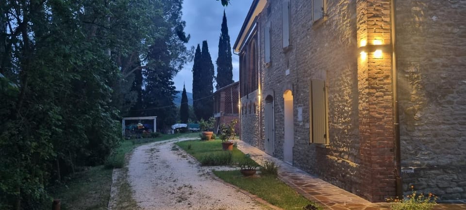 Property building, Night, Garden, Garden view