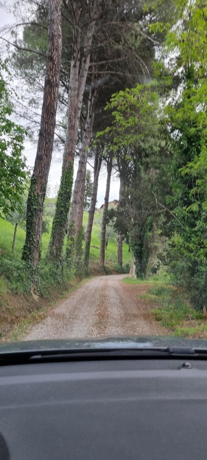 Day, Natural landscape, Quiet street view