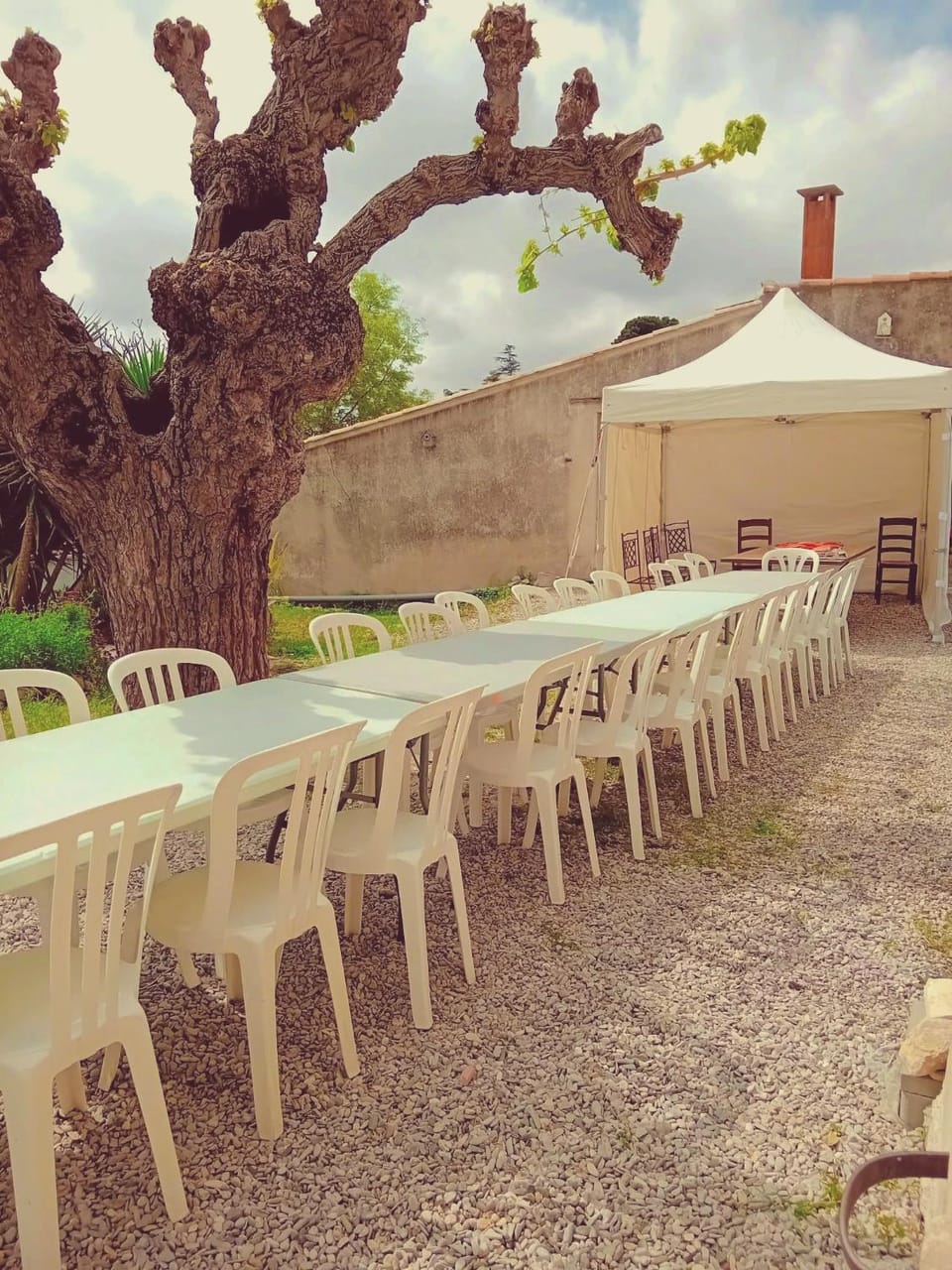 Gîte Plaissan- Chez Laure&Marc Apartment in Occitanie