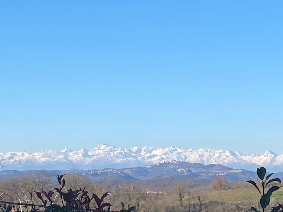 Natural landscape, Garden view, Garden view, Mountain view