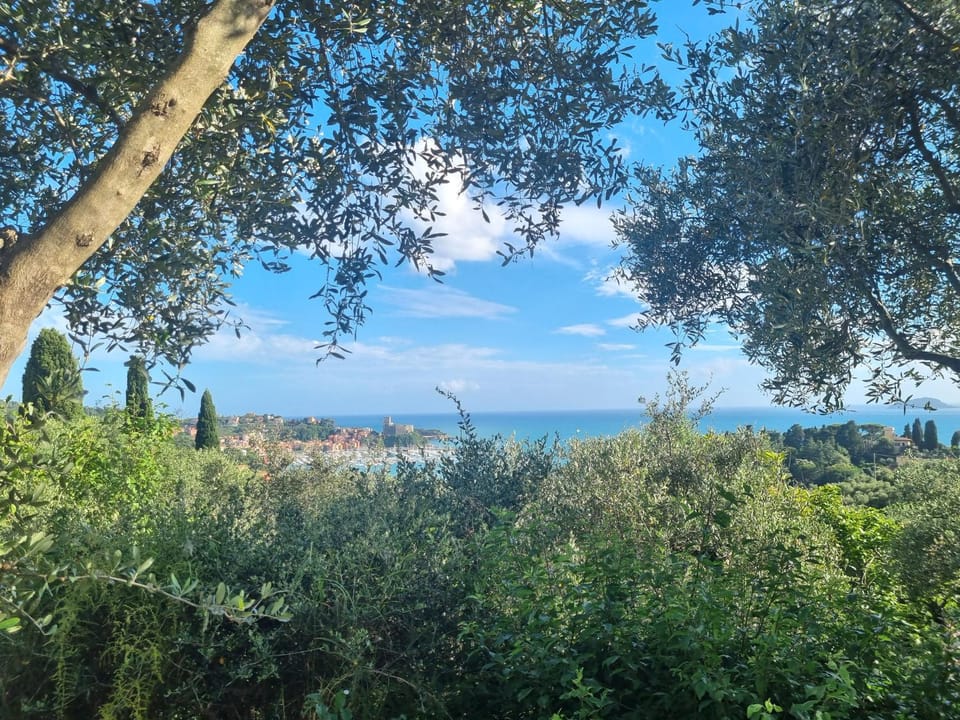 Garden, Sea view
