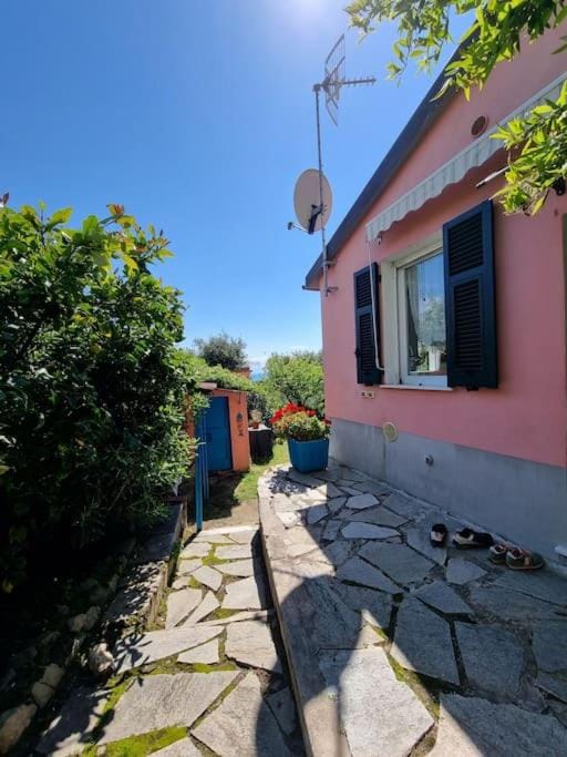Property building, Garden view
