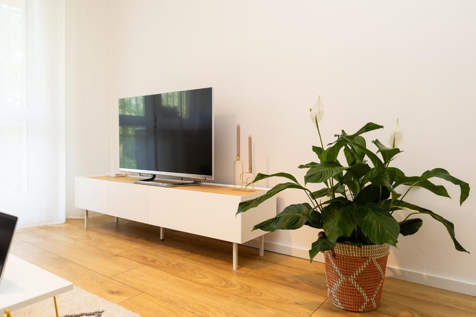 Moderní byt s přímým vstupem do parku v centru Ostravy Apartment in Czechia