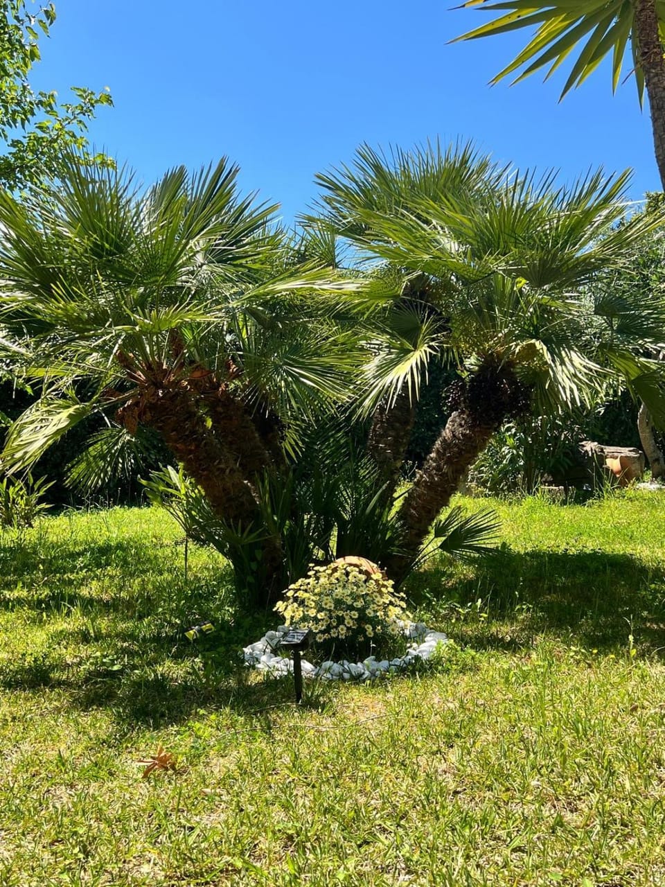 VILLA ELI Apartment in Agropoli