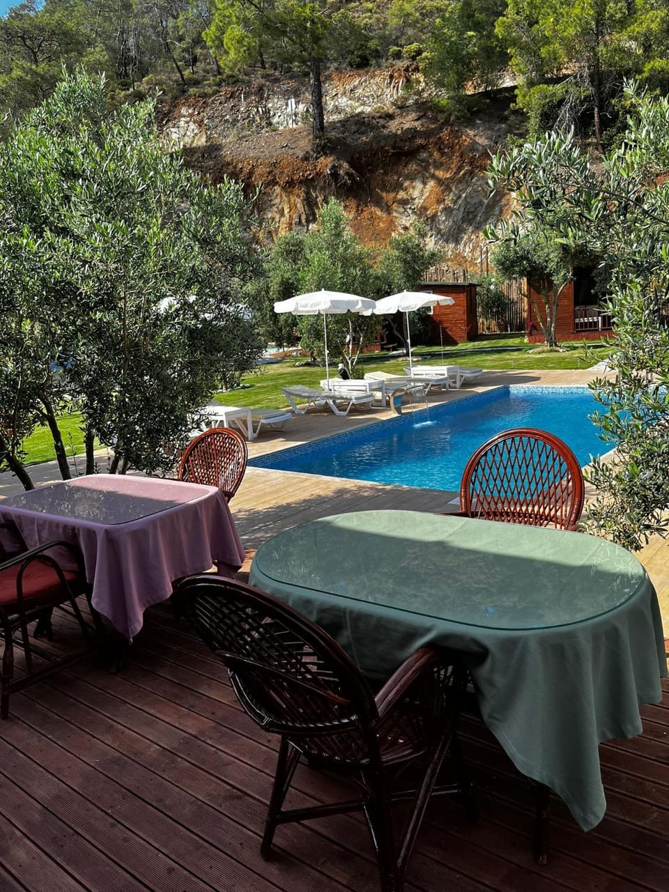 Day, Natural landscape, Garden, Dining area, Garden view, Swimming pool, sunbed
