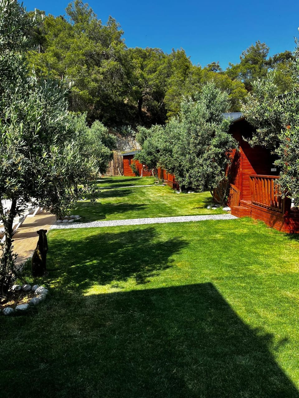 Day, Garden