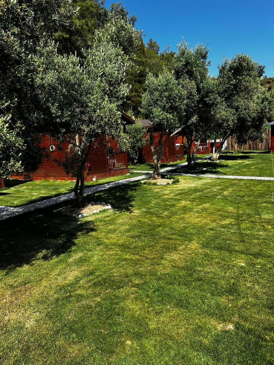 Garden, Garden view