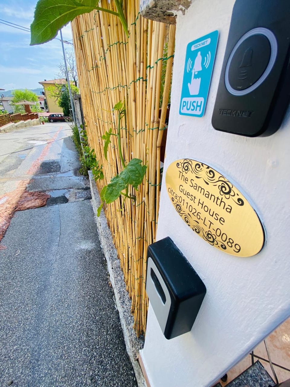 Street view, Certificate/Award