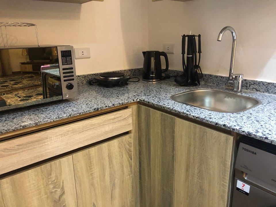 Kitchen or kitchenette, dishwasher, stove