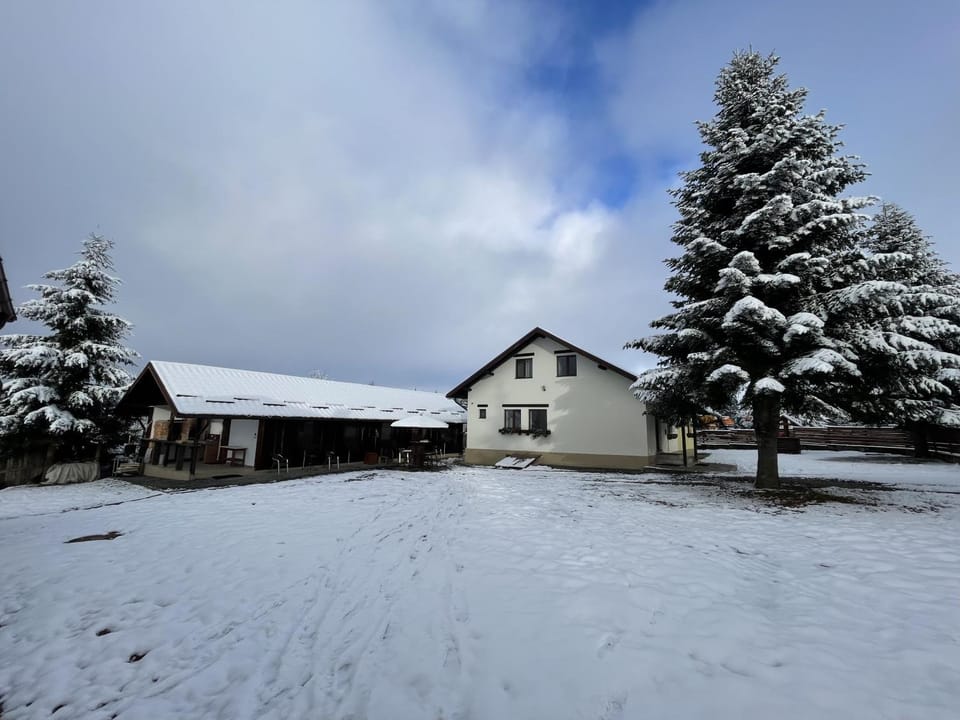 Property building, Day, Winter