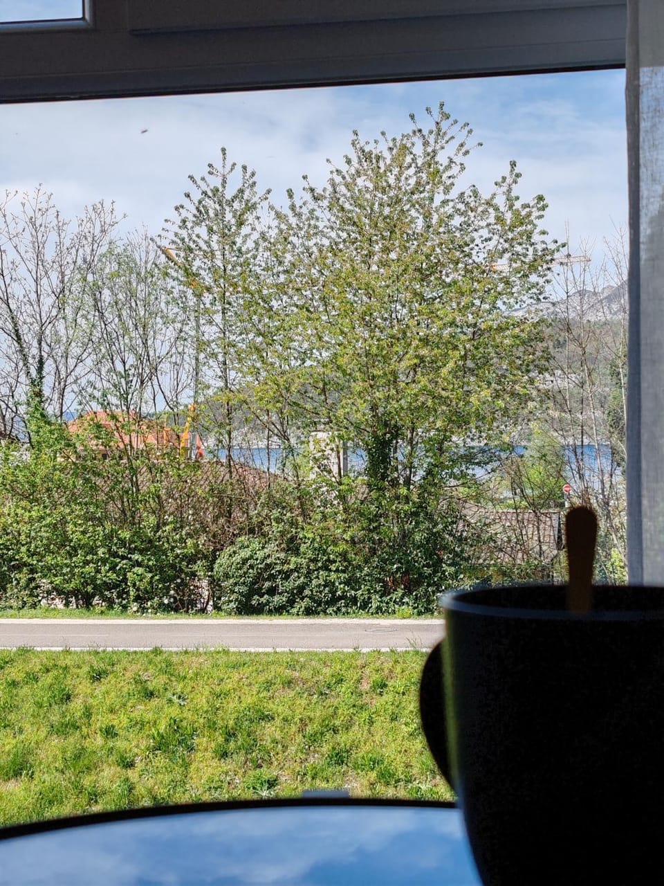 View (from property/room)