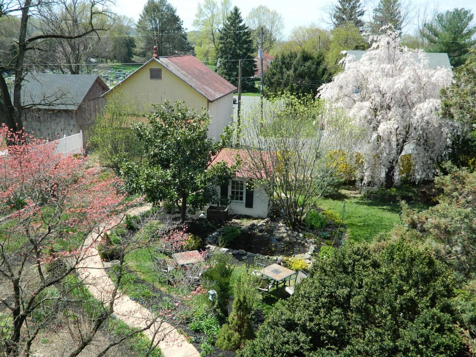 Garden, Garden view