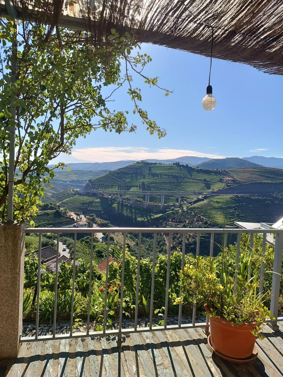 Casa do Romezal Bed and Breakfast in Vila Real District