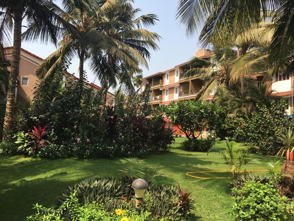 Restaurant/places to eat, Garden