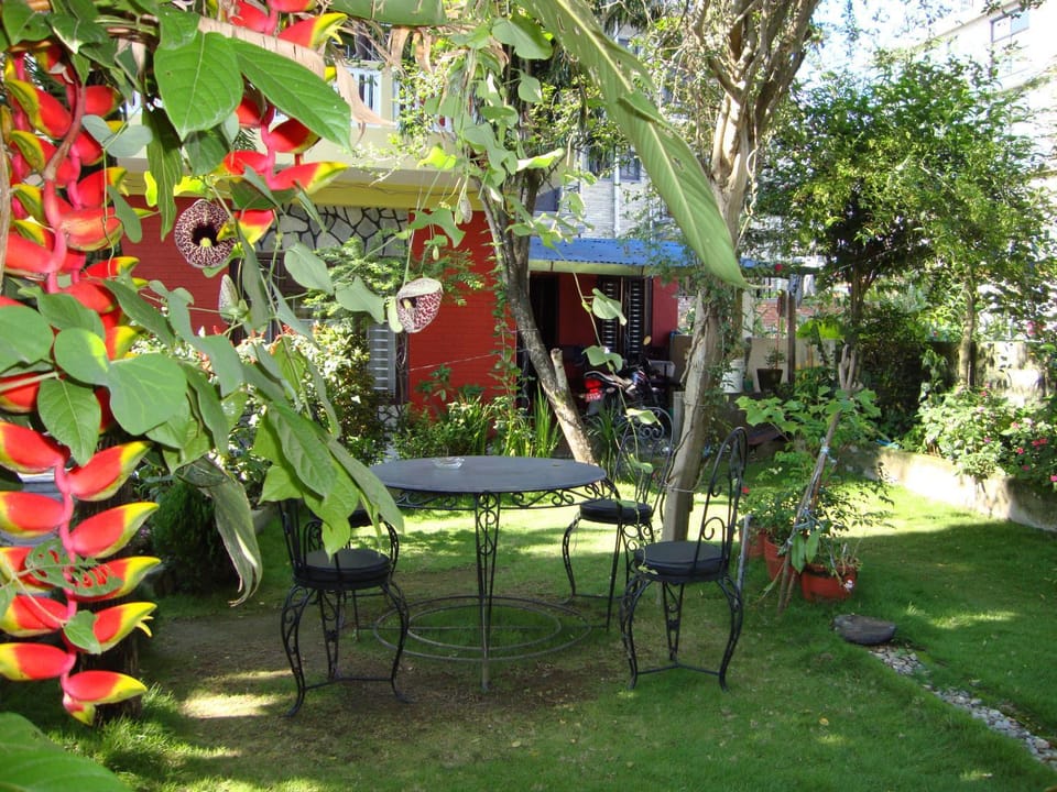 Garden view