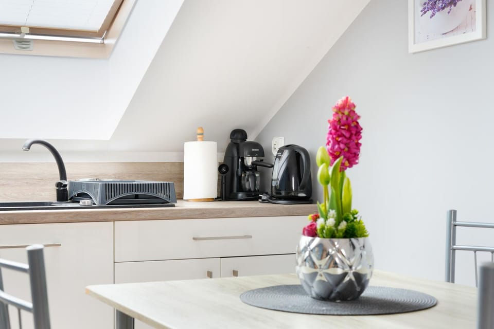 Coffee/tea facilities, minibar, stove