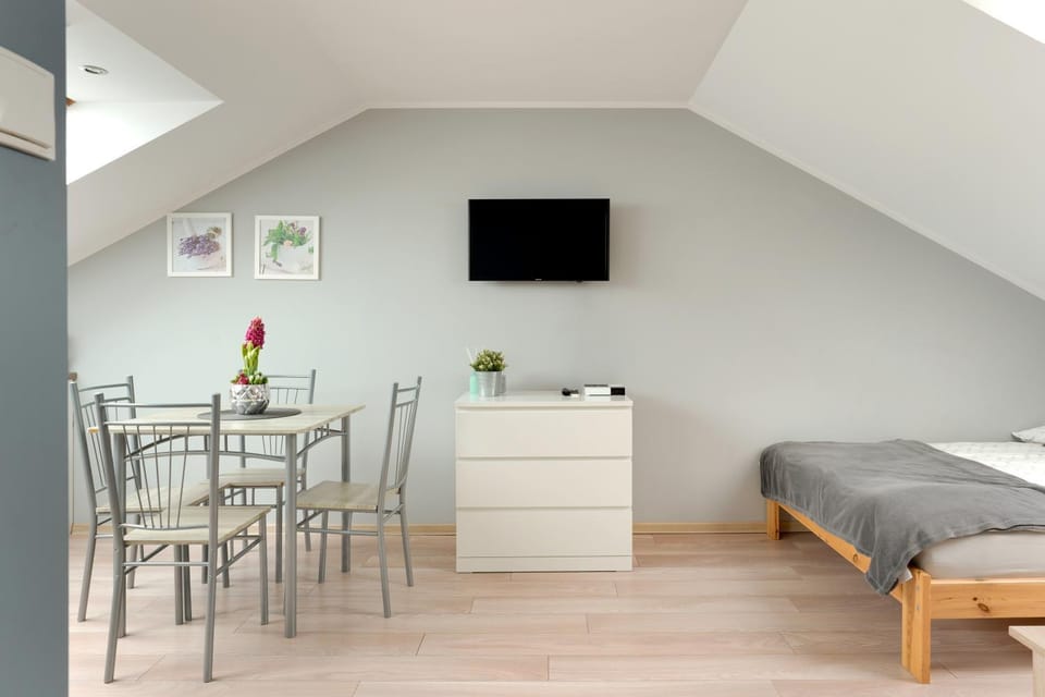 Bed, TV and multimedia, Living room, Photo of the whole room, Dining area