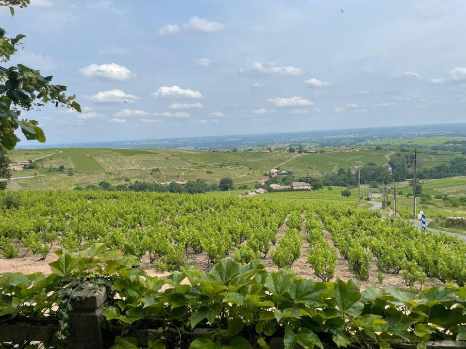 Natural landscape, Garden view