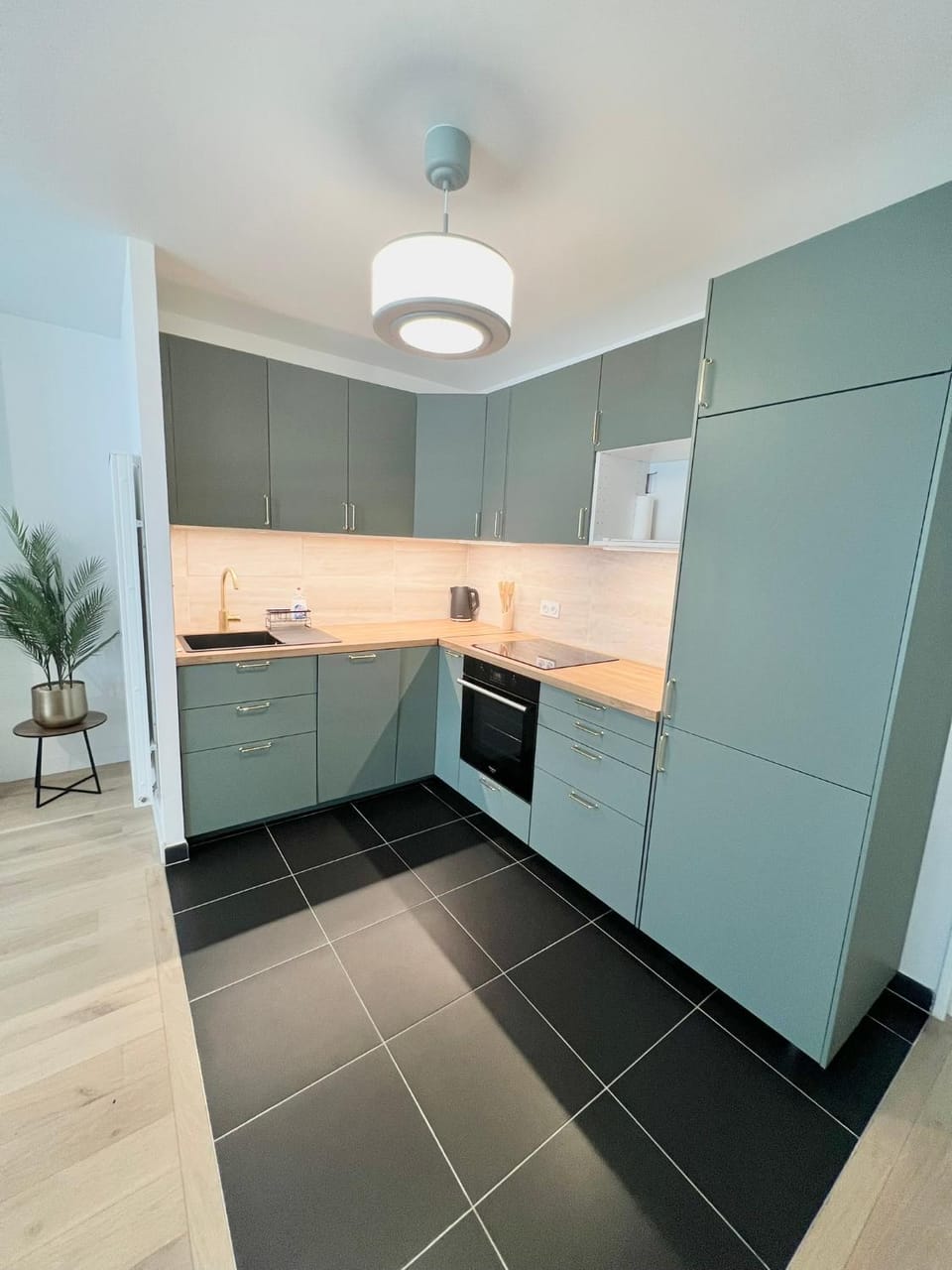 Kitchen or kitchenette, dishwasher, oven, stove