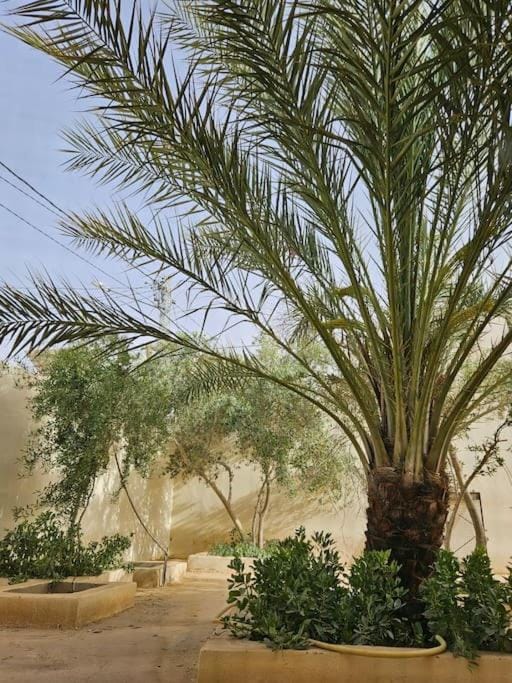 Hadhri Appartement House in Tunisia