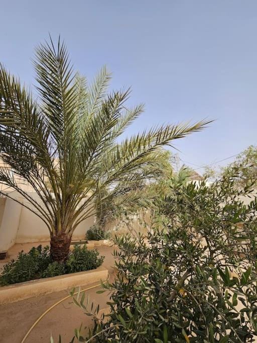 Hadhri Appartement House in Tunisia