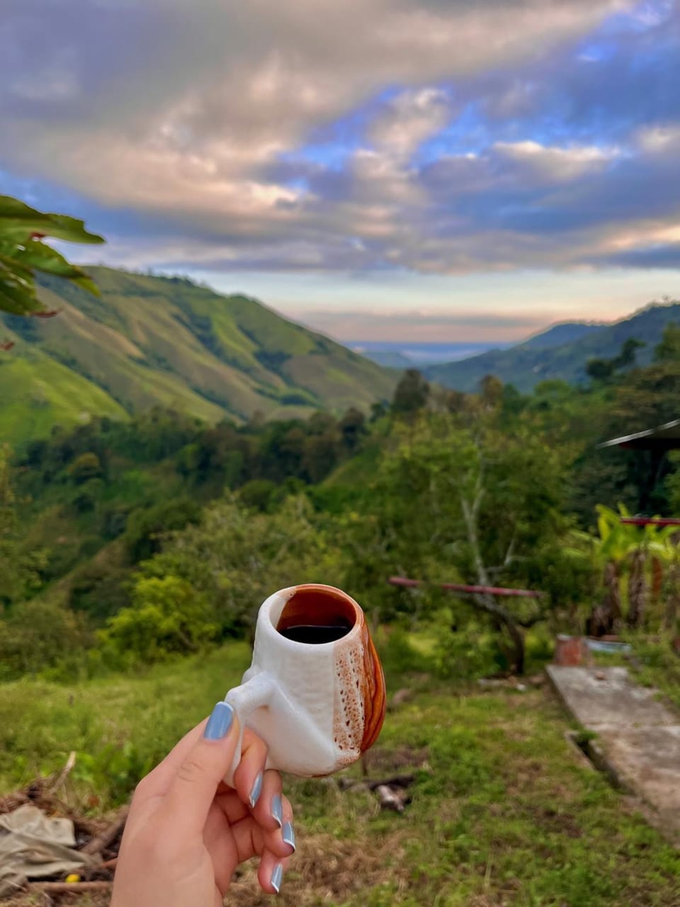 Natural landscape, Coffee/tea facilities, View (from property/room), Mountain view