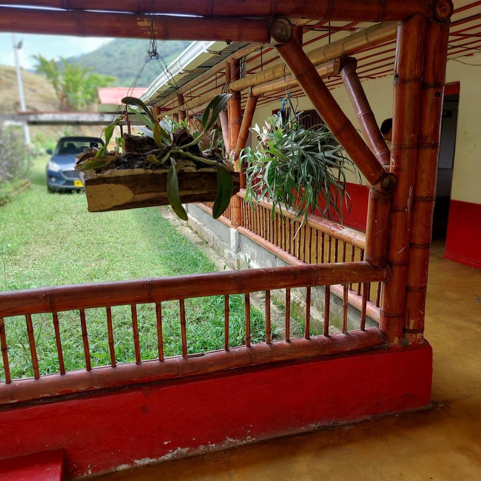 Property building, Patio, Garden, Garden view, Parking