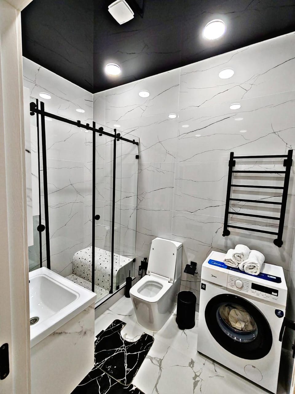 Shower, Toilet, washing machine