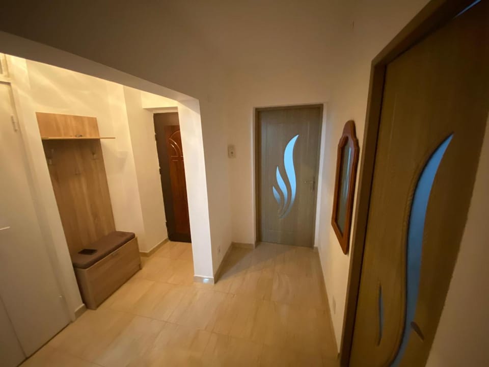 Apartament Costescu Apartment in Serbia