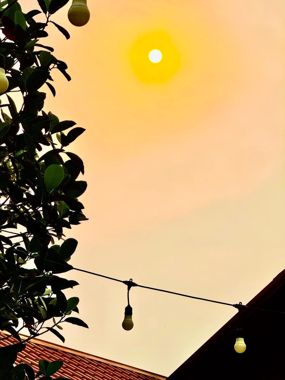 Day, Sunrise