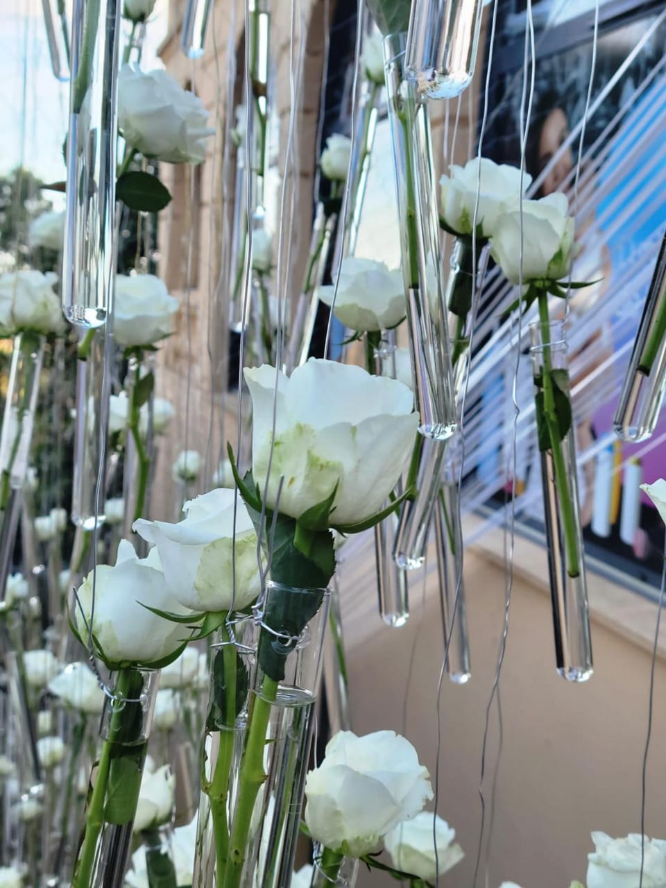 Grasse aux parfums Apartment in Grasse