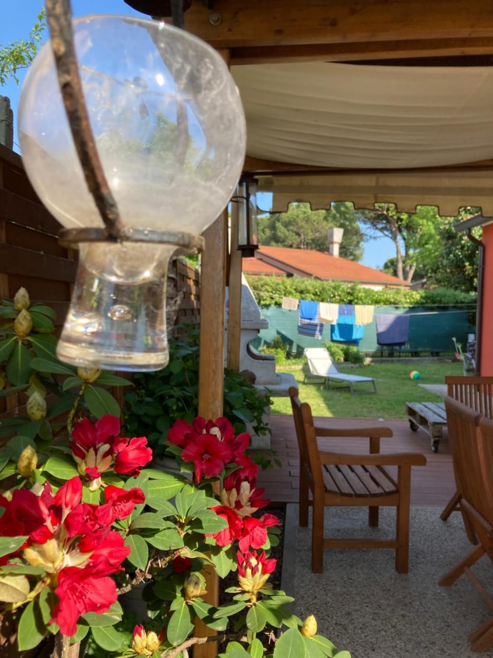 Garden view