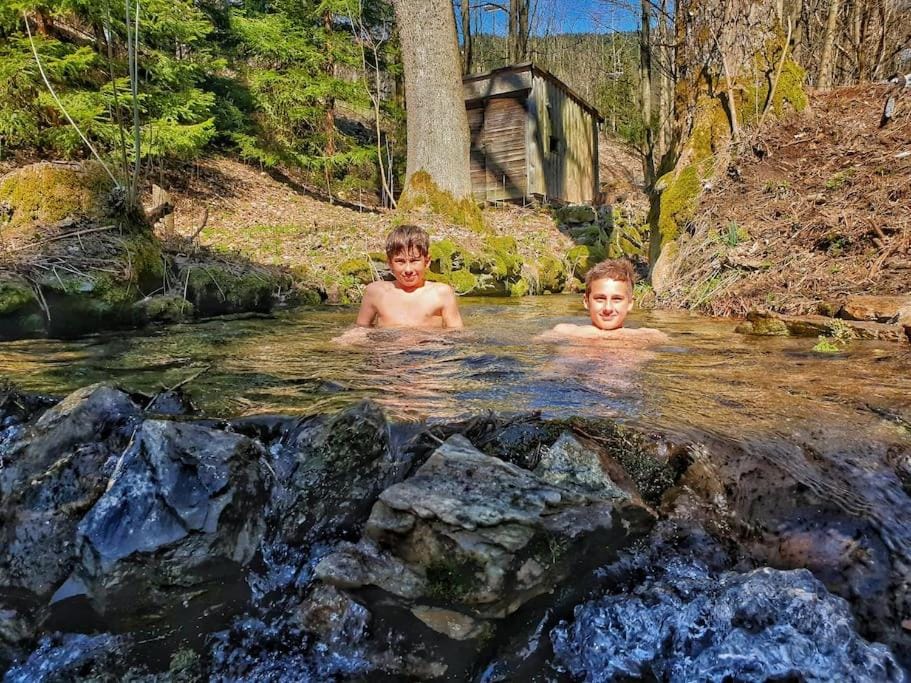 Penzion Pichberg Horská chata Chalet in Czechia