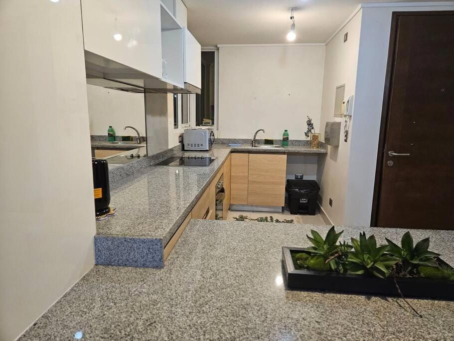 Estancia Perfecta en Los Andes Apartment in Valparaíso Region