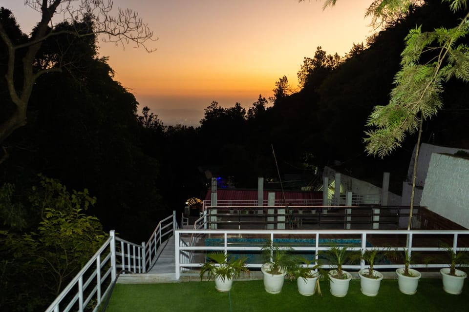 Natural landscape, Garden, Sunset
