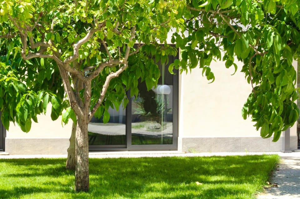 Property building, Patio, Natural landscape, Garden, Garden view