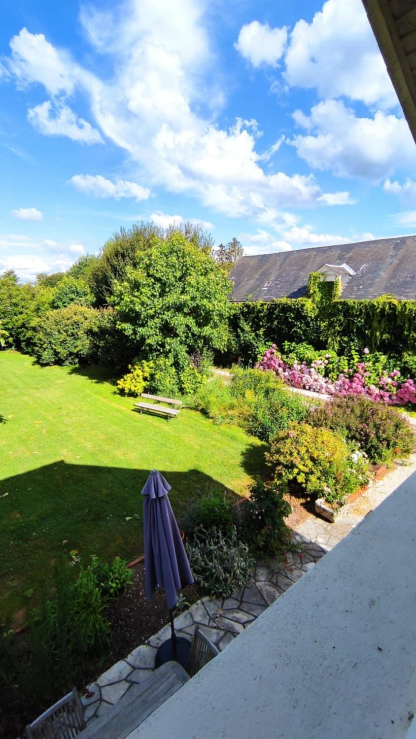 View (from property/room)