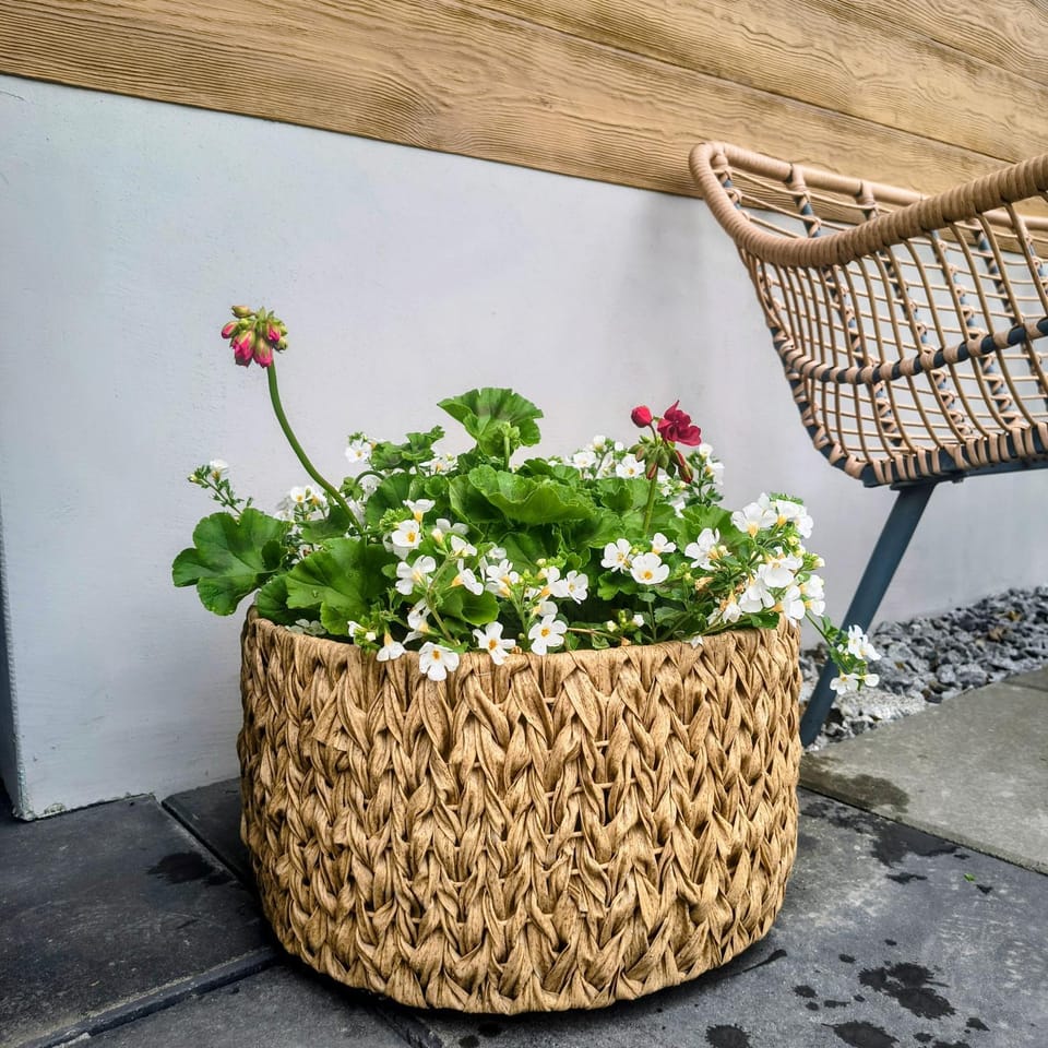 Noclegi, pokoje, kwatery "Nad Bzurą" Apartment in Masovian Voivodeship