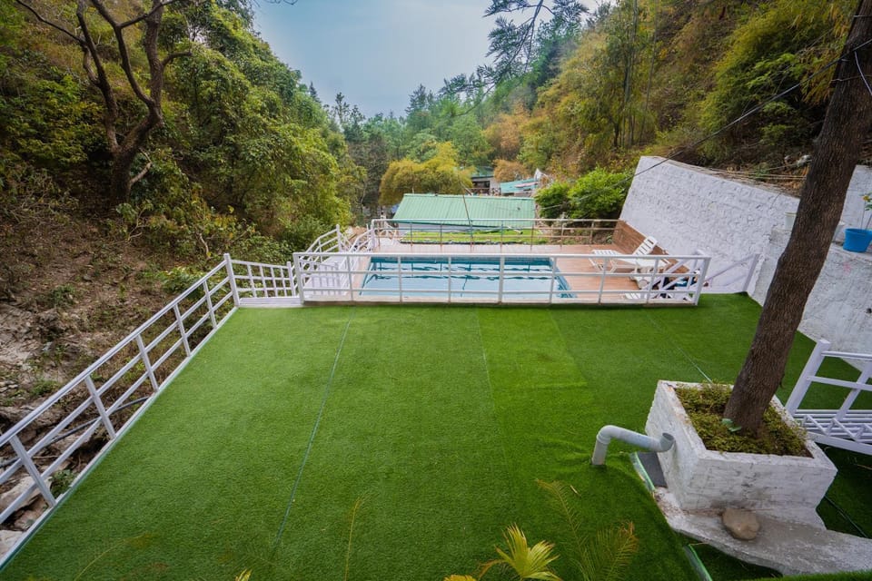 Natural landscape, Garden, Pool view, Swimming pool