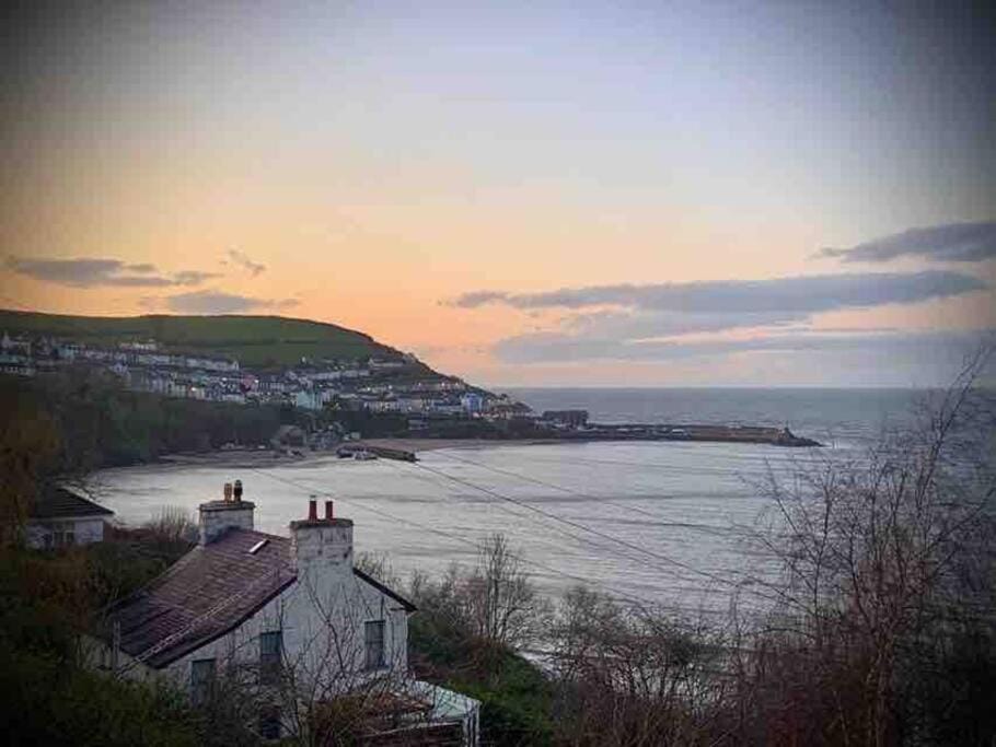 Stunning Lodge with Panoramic Sea Views - New Quay West Wales House in New Quay