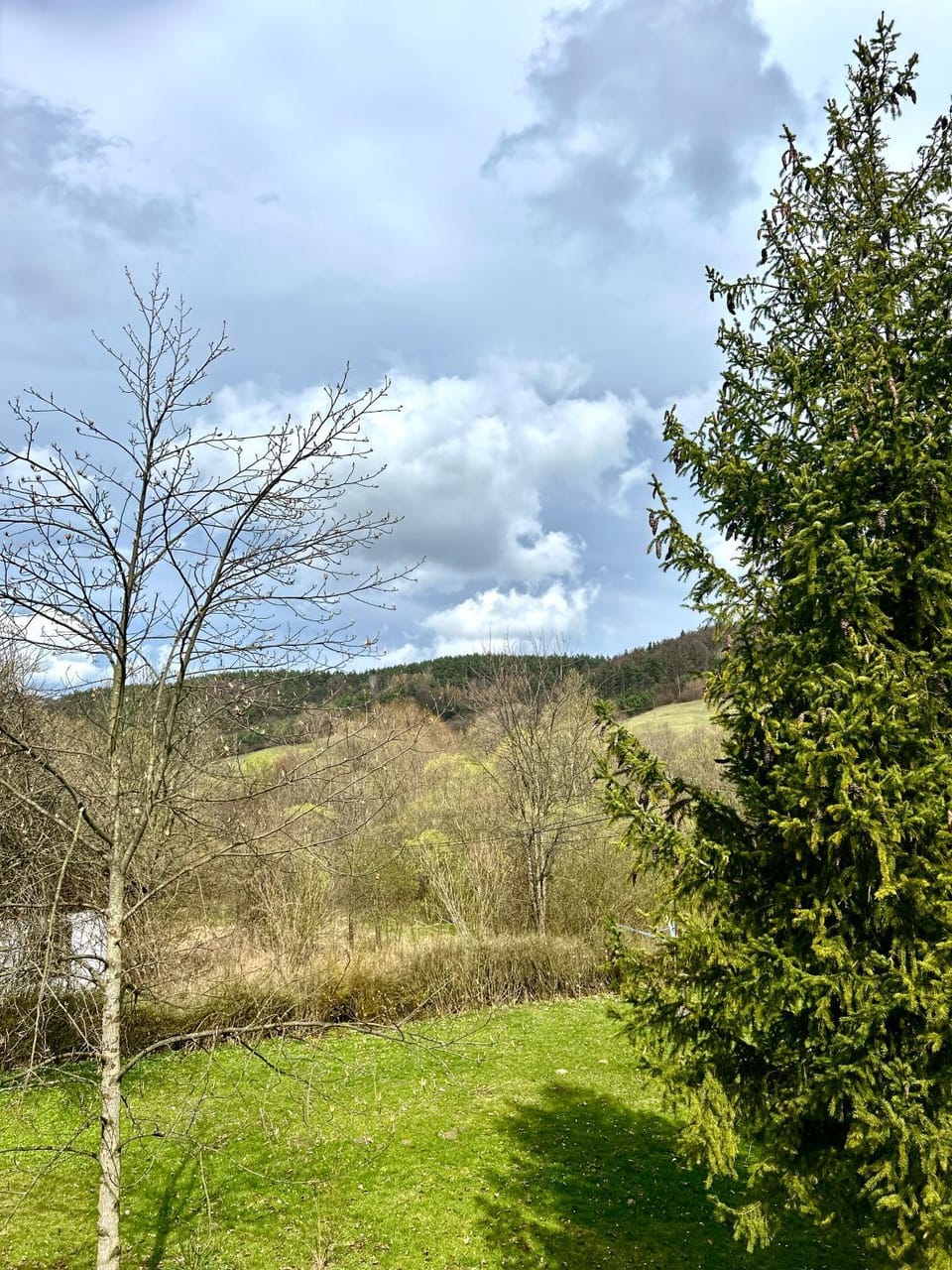View (from property/room)