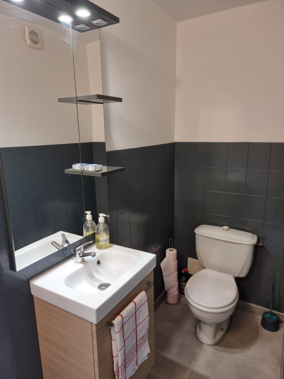 Le Lumineux Apartment in Occitanie