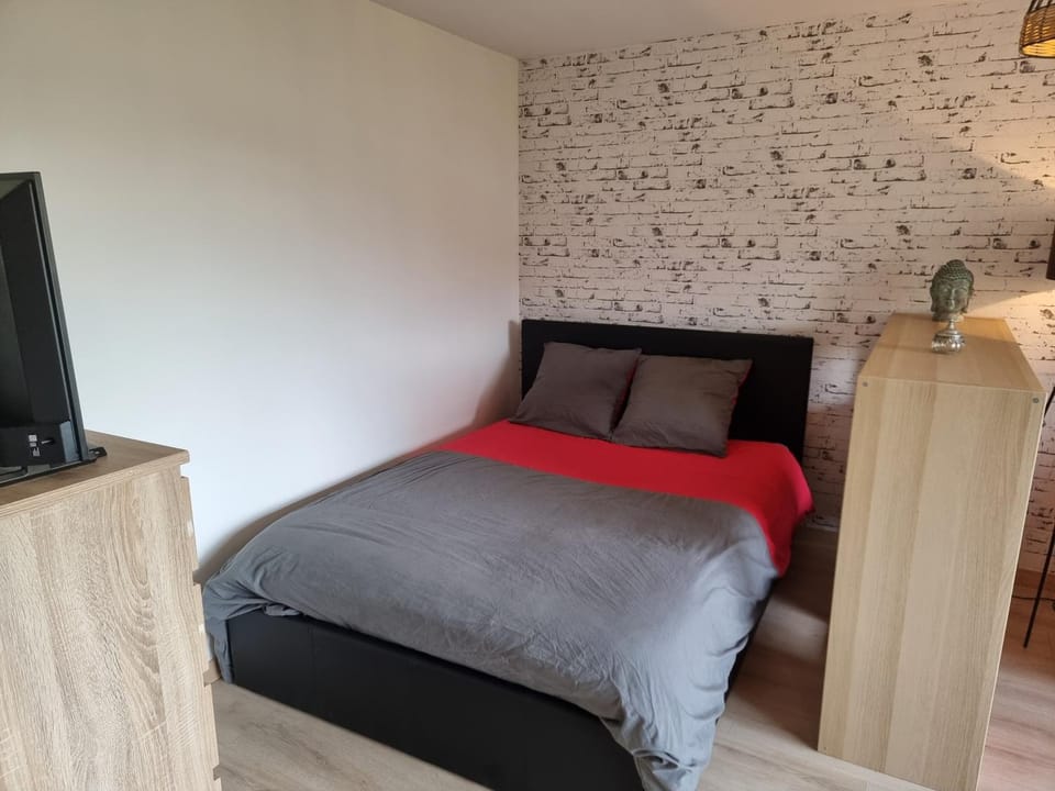 Le Lumineux Apartment in Occitanie