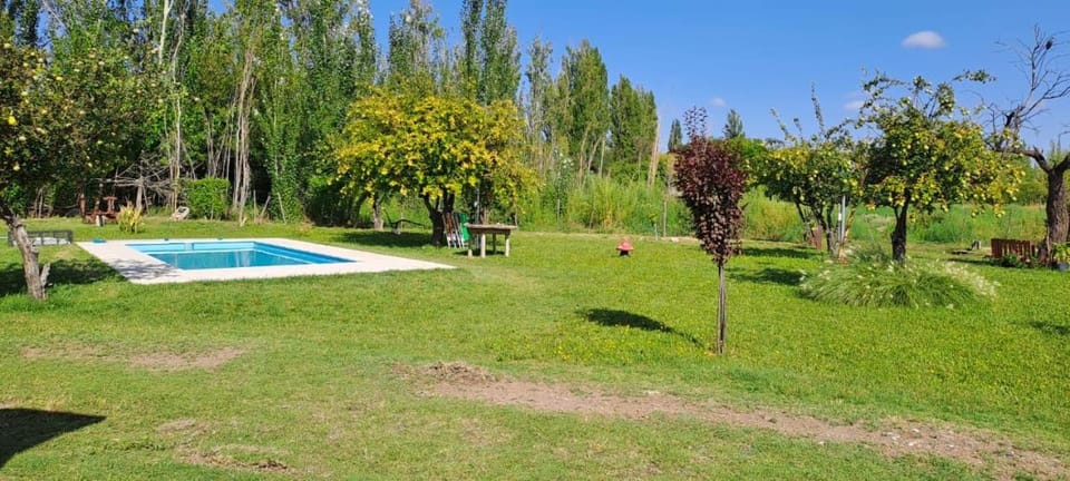 Day, Natural landscape, Garden, Garden view, Pool view, Swimming pool, Swimming pool
