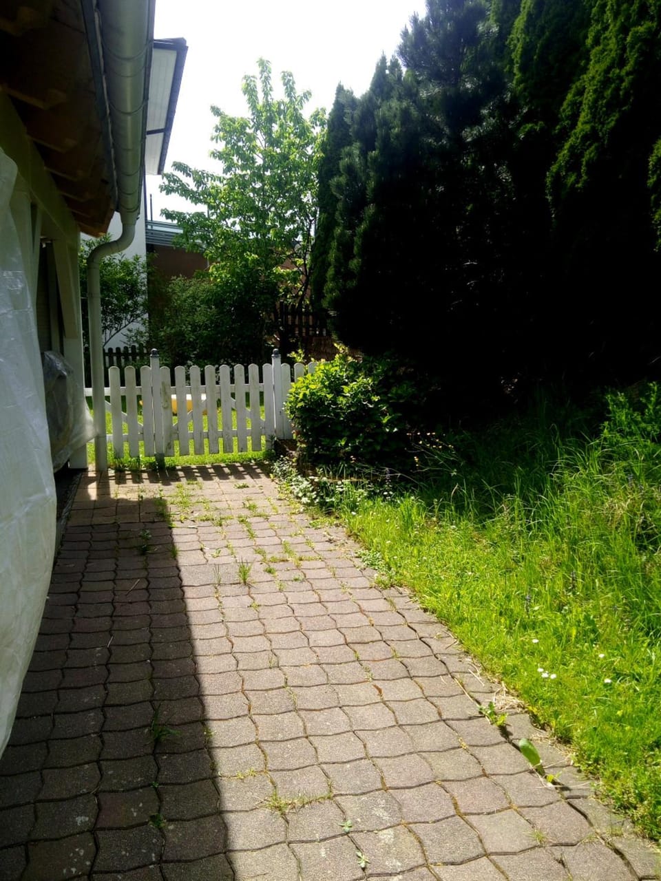 Spring, Day, Garden, Garden view