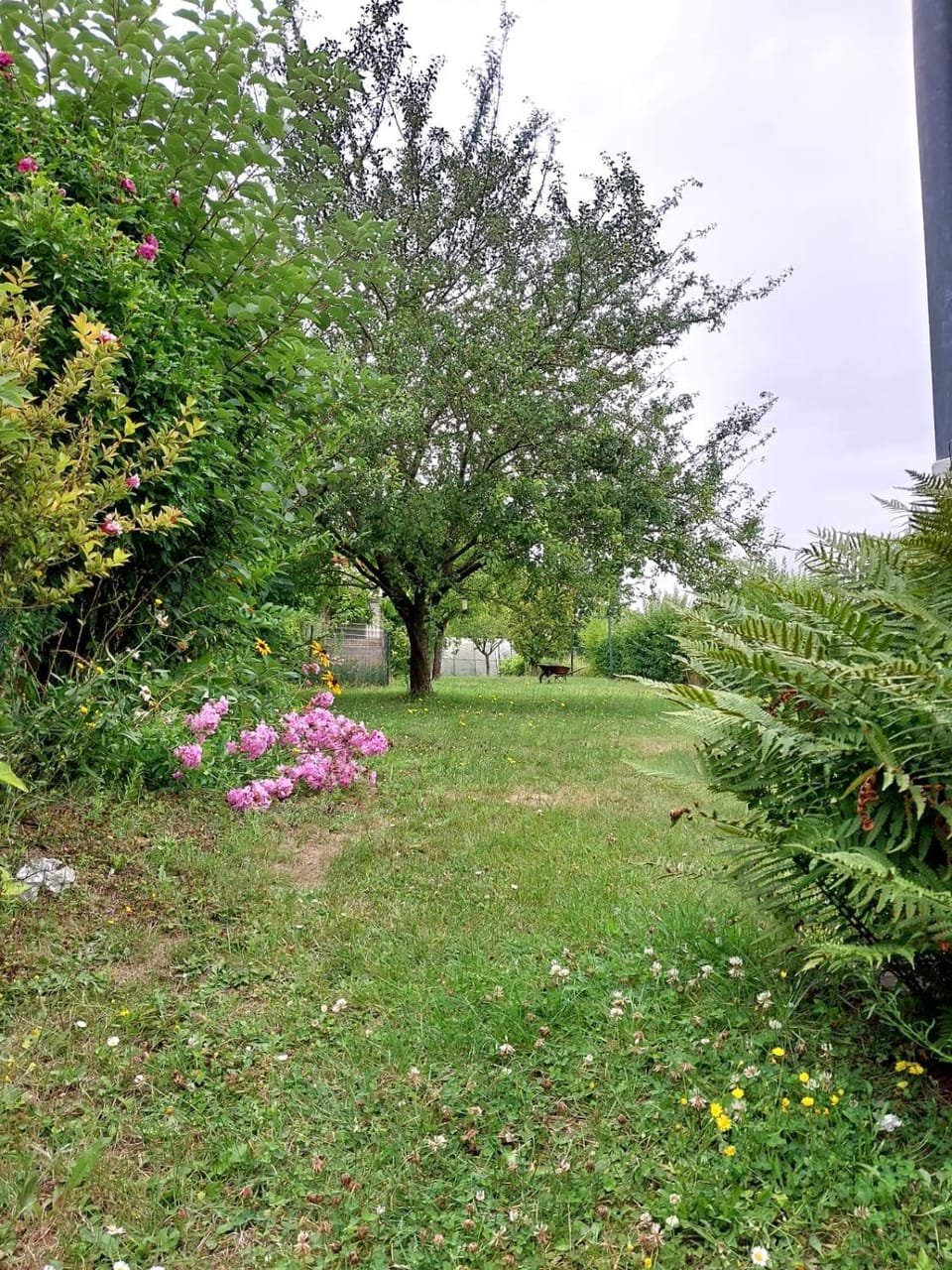 Au chant du Coq House in Hauts-de-France